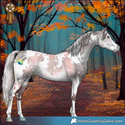 Horse Color:White Spotted Chocolate Silver Smoky Grullo Chinchilla Ice Brindle 