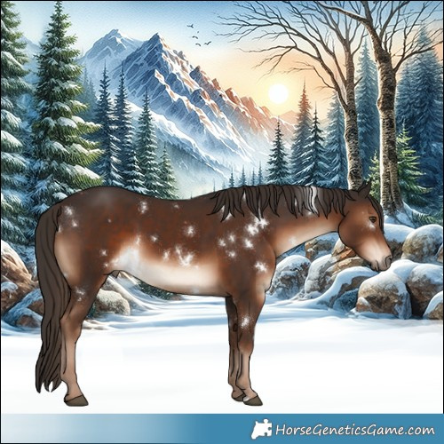 Horse Color:White Spotted Liver Chestnut 