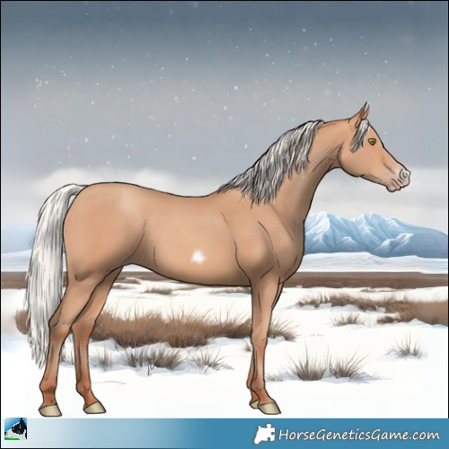 Horse Color:Silver Amber Champagne Frame