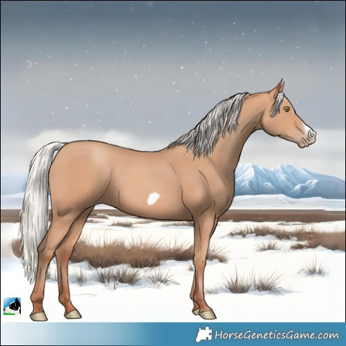 Horse Color:Silver Amber Champagne Frame 