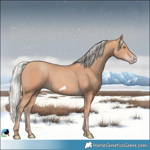 Horse Color:Silver Amber Champagne Frame 