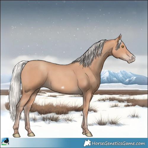 Horse Color:Silver Amber Champagne Frame 