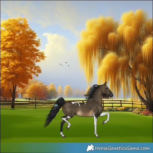 Horse Color:Gray Buckskin Dun Tobiano Rabicano