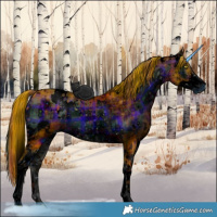 Horse Color:ERROR: UNKNOWN ANOMALY