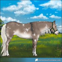 Horse Color:White Spotted Liver Red Dun Mushroom Sabino Rabicano