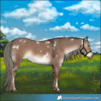 Horse Color:White Spotted Liver Red Dun Mushroom Rabicano