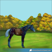 Horse Color:ERROR: UNKNOWN ANOMALY