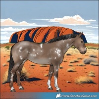 Horse Color:White Spotted Liver Red Dun Tobiano 