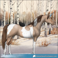 Horse Color:Brown Pearl Dun Tobiano