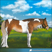 Horse Color:Chocolate Palomino Mushroom Tobiano 