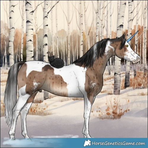 Horse Color:Liver Red Dun Sabino Splash Tobiano Brindle 