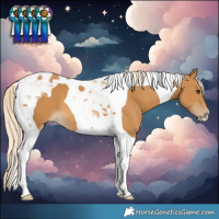 Horse Color:Palomino Tobiano 
