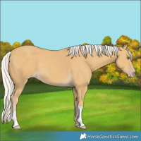 Horse Color:Silver Classic Cream Champagne