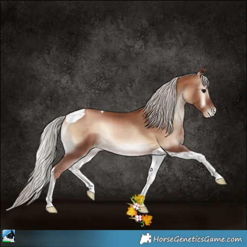 Horse Color:Silver Blue Onyx Pearl Tobiano 