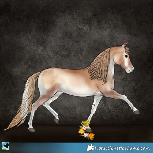 Horse Color:Red Onyx Pearl Tobiano 
