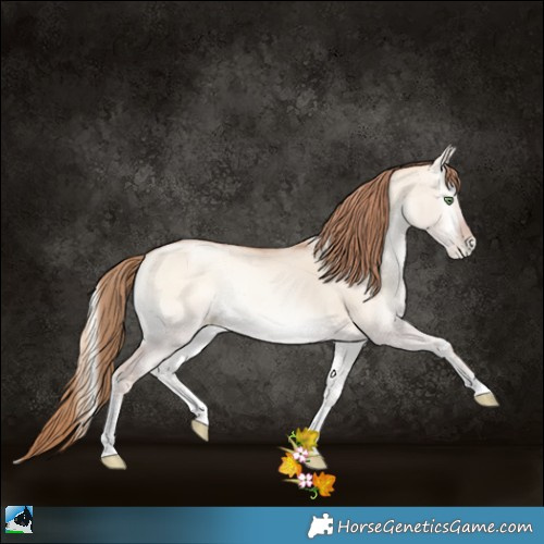 Horse Color:Gold Champagne Pearl Onyx Tobiano Rabicano 