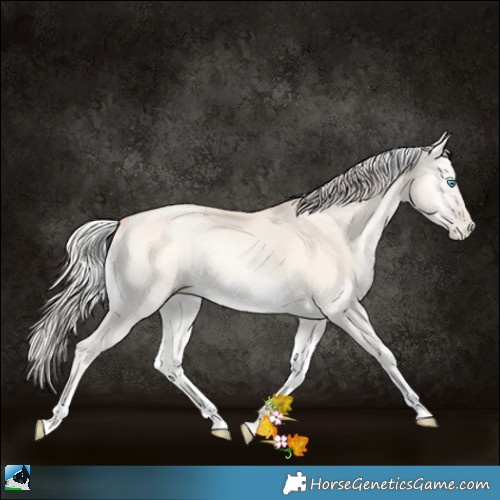 Horse Color:Silver Classic Cream Champagne Pearl Onyx Tobiano 