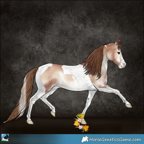 Horse Color:Blue Onyx Pearl Sabino Tobiano 
