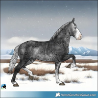 Horse Color:Silver Brown Chinchilla Ice Sabino Rabicano 