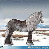 Horse Color:Chocolate Silver Brown Chinchilla Ice Sabino Rabicano 