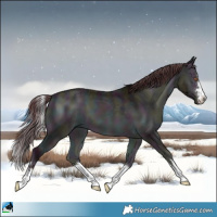 Horse Color:Midnight Chocolate Brown Chinchilla Onyx 