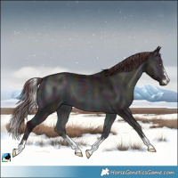 Horse Color:Midnight Chocolate Brown Chinchilla Onyx 