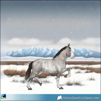 Horse Color:Liver Red Dun Ice Roan Sabino Splash Rabicano