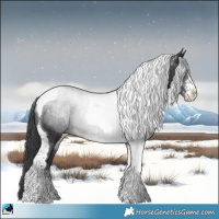 Horse Color:Black Sabino Tobiano Rabicano