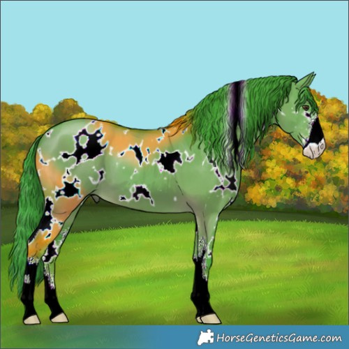 Horse Color:Watercolor White Spotted Liver Red Dun Sabino 