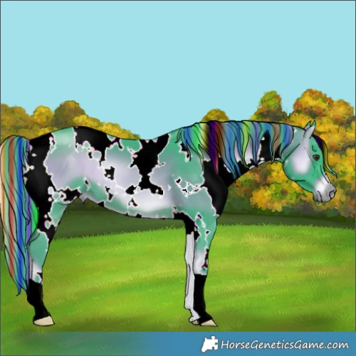 Horse Color:Painted Watercolor White Spotted Liver Red Onyx 