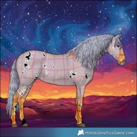 Horse Color:Watercolor Plaid  White Spotted Liver Red Dun 