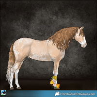 Horse Color:White Spotted Bay Ice Pearl Splash 