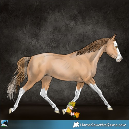Horse Color:White Spotted Bay Pearl Splash 