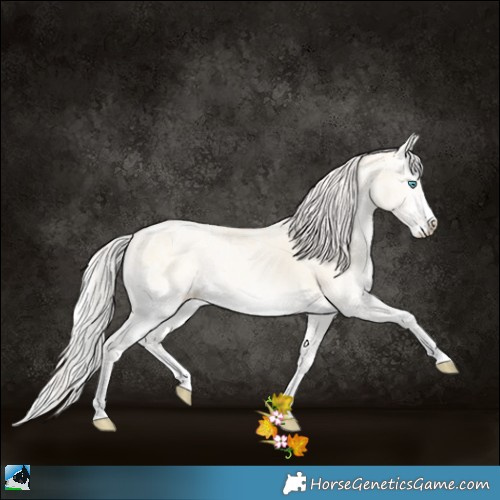 Horse Color:Silver Classic Cream Champagne Ice Pearl Onyx Sabino Splash 