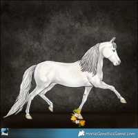 Horse Color:Silver Classic Cream Champagne Ice Pearl Onyx Sabino Splash 