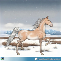 Horse Color:Silver Classic Champagne Rabicano 