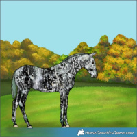 Horse Color:Watercolor White Spotted Bay Dun Splash and Void Watercolor White Spotted Red Dun