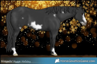 Horse Color:Black Frame 