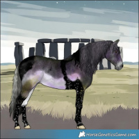 Horse Color:Void Watercolor Chocolate Palomino Onyx Tobiano