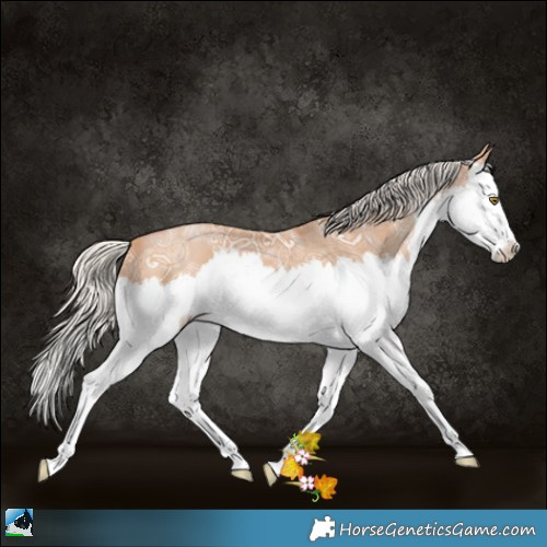 Horse Color:White Spotted Silver Bay Ice Pearl Splash 