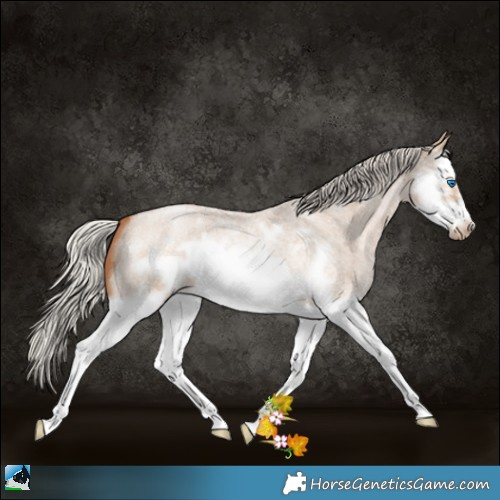 Horse Color:Silver Grullo Roan Pearl Splash Frame 
