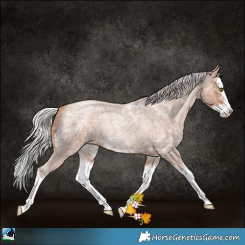 Horse Color:Silver Brown Ice Roan Pearl Splash