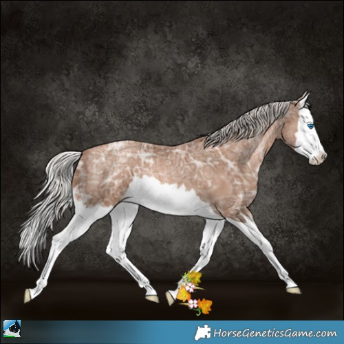 Horse Color:White Spotted Silver Black Ice Pearl Splash 