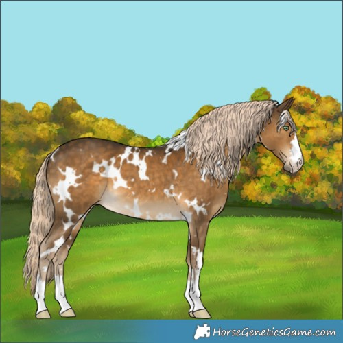 Horse Color:White Spotted Chocolate Palomino Mushroom 