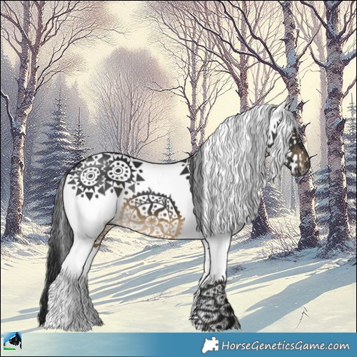 Horse Color:Gray White Spotted Buckskin