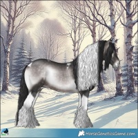 Horse Color:Platinum Brown Onyx Tobiano 
