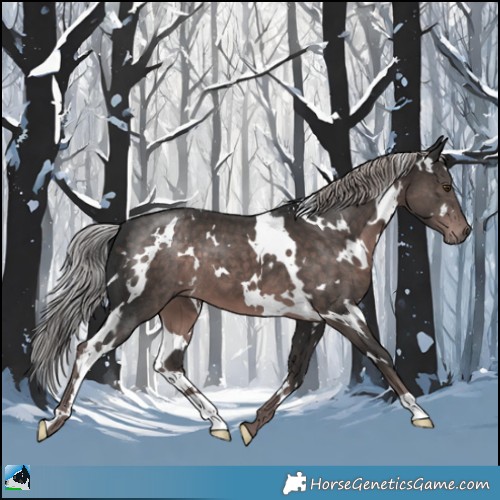 Horse Color:Platinum White Spotted Liver Chestnut 