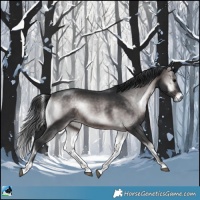 Horse Color:Platinum Brown Onyx 