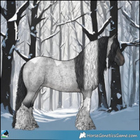 Horse Color:Platinum Brown Roan Tobiano