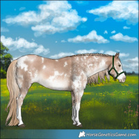 Horse Color:White Spotted Liver Chestnut Pearl 